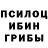 Псилоцибиновые грибы мухоморы Masha Sterligoff