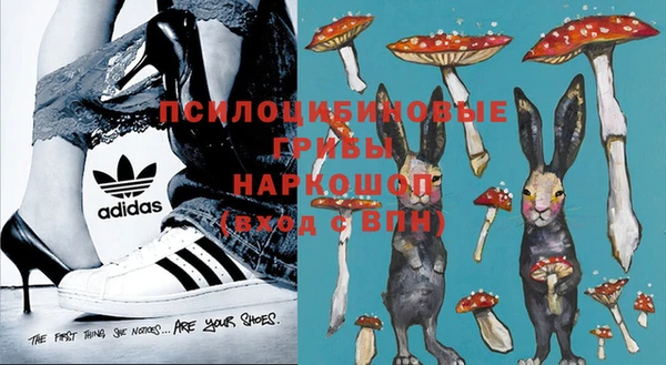 ПСИЛОЦИБИНОВЫЕ ГРИБЫ Богданович