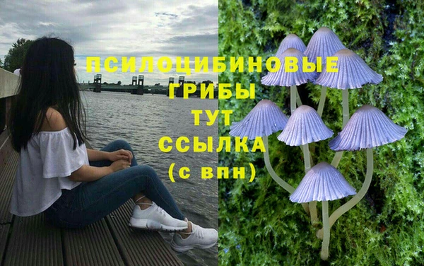 меф VHQ Богородицк