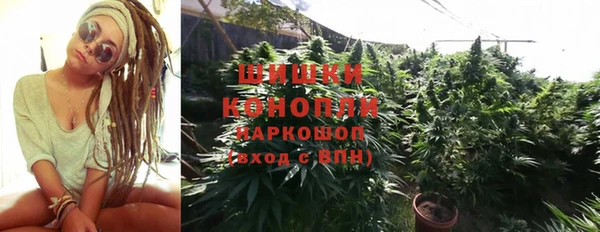 ПСИЛОЦИБИНОВЫЕ ГРИБЫ Богданович